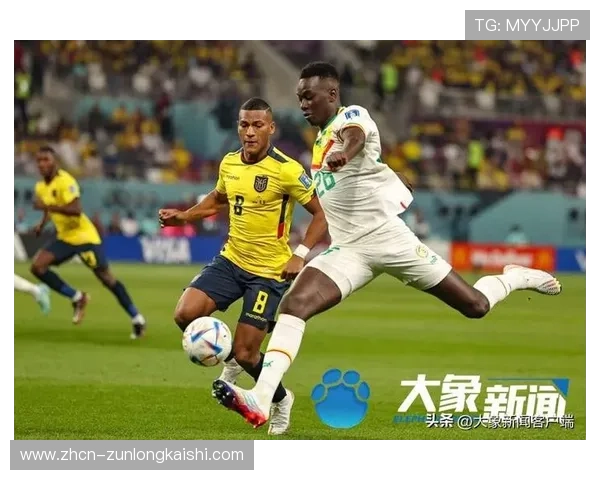 酋长球场将举办巴西vs塞内加尔友谊赛